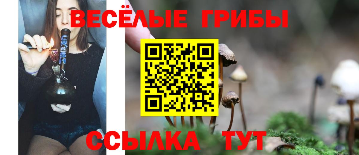 Лангепас  Псилоцибиновые грибы прущие грибы  Галлюциногенные грибы GOLDEN TEACHER  Вход с VPN 