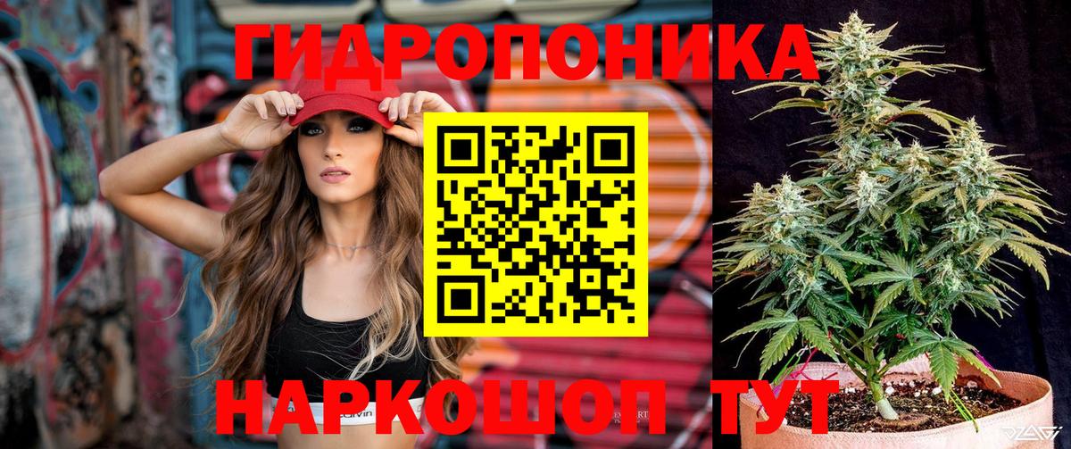 Каннабис THC 21%  Марихуана планчик  Лангепас  Бошки марихуана марихуана  Вход с VPN 